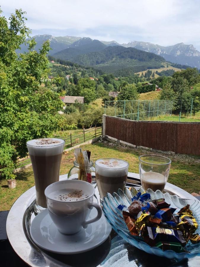 Casa Hoinarilor Bed & Breakfast Bran  Exterior foto